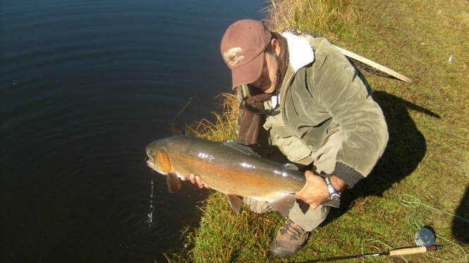 soltando una trucha en Raíces.JPG